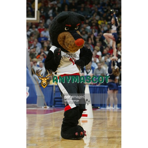 The University of Cincinnati Bearcats Mascot Costume