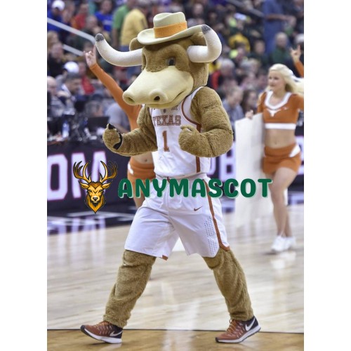 The University of Texas at Austin Mascot Costume