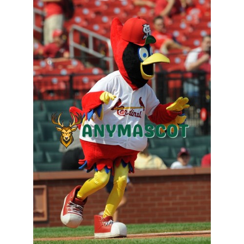 St. Louis Cardinals Mascot Costume