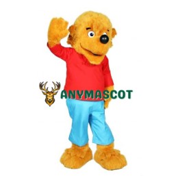 Berenstain Bear Brother Bear and Sister Bear Mascot Costume