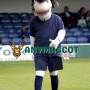 Adult Eel Mascot Costume for Sport Games