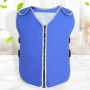 Ice Pack Cooling Vest