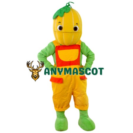 Happy Pumpkin Boy Mascot Costume