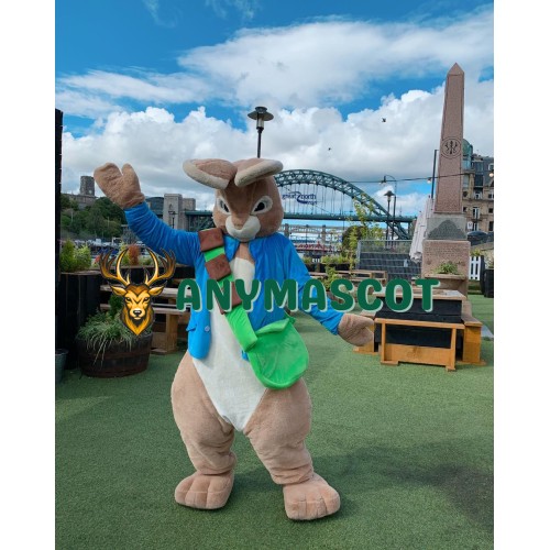 Lovely Realistic Lightweight Peter Rabbit Mascot Costume
