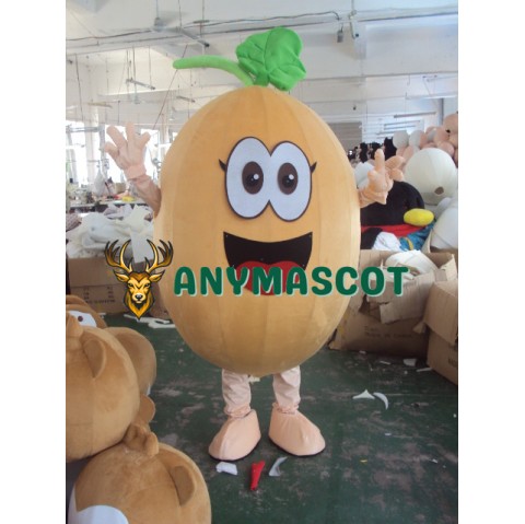 Cantaloupe Mascot Costume