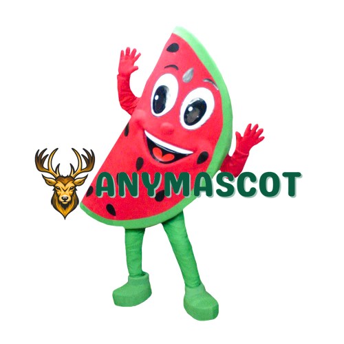 Watermelon Mascot Costume