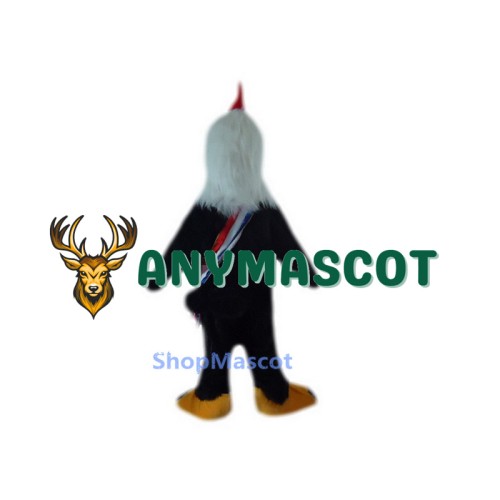 Black Cock Mascot Costumes