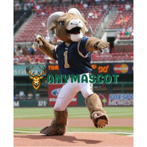 St.Louis Rams Sports School Mascot Costume
