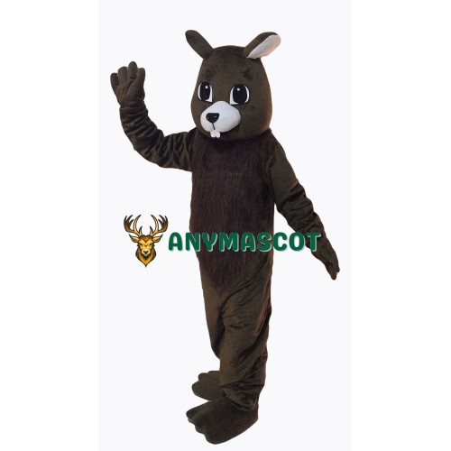Brown Squirrel Mascot Costume
