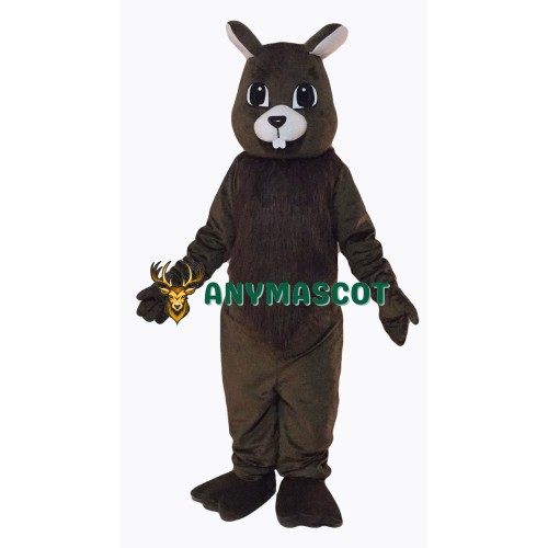 Brown Squirrel Mascot Costume